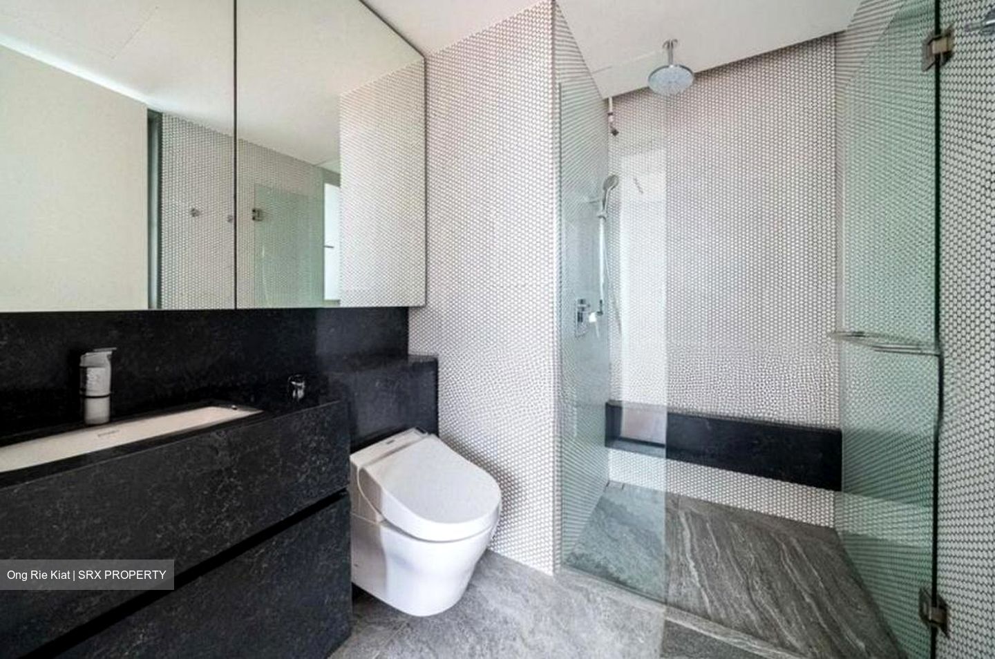10 Evelyn (D11), Apartment #566298531